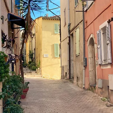 Sun Dreams, Centre Historique, 10 Minutes De Cannes * Валлорис